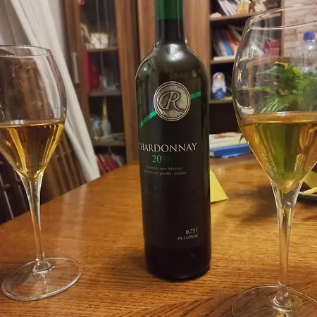 Gala Lejlighed Beograd