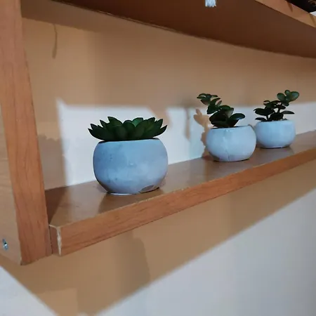 Gala * 贝尔格莱德