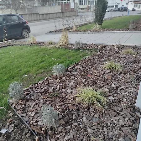 Gala Lejlighed Beograd